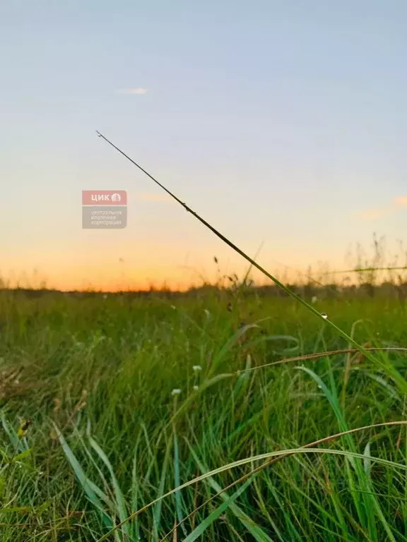 Участок в Рязанская область, Рязанский муниципальный округ, д. ... - Фото 1