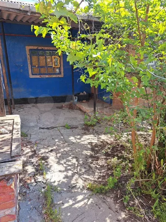 Участок 11 сот. (ИЖС) - Фото 1