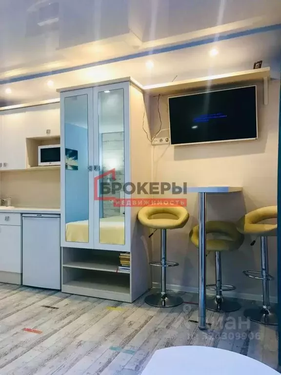 Студия Севастополь с. Орловка, ш. Качинское, 33-Б (22.0 м) - Фото 2