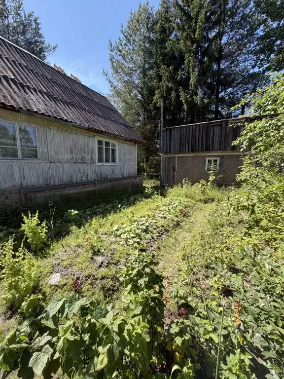 Дом в Ленинградская область, Гатчинский муниципальный округ, Радуга СТ ... - Фото 2