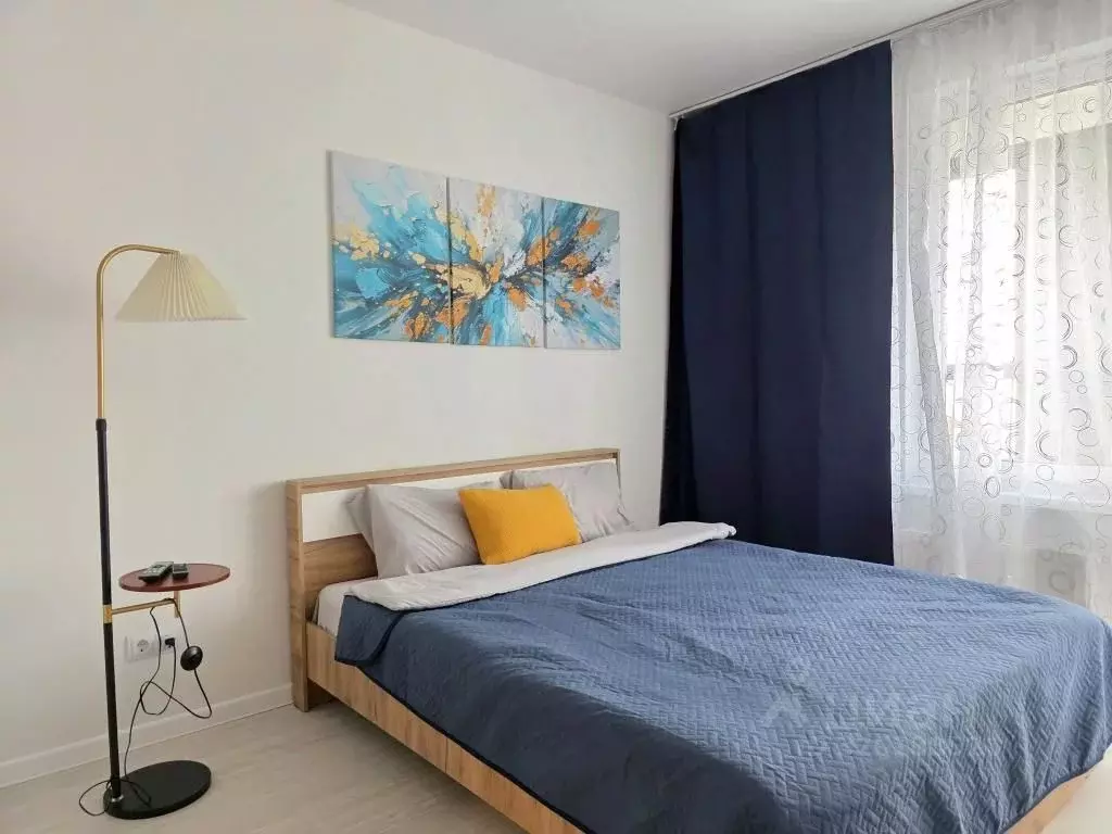 1-к кв. Санкт-Петербург пос. Шушары, просп. Старорусский, 5к2 (22.0 м) - Фото 2