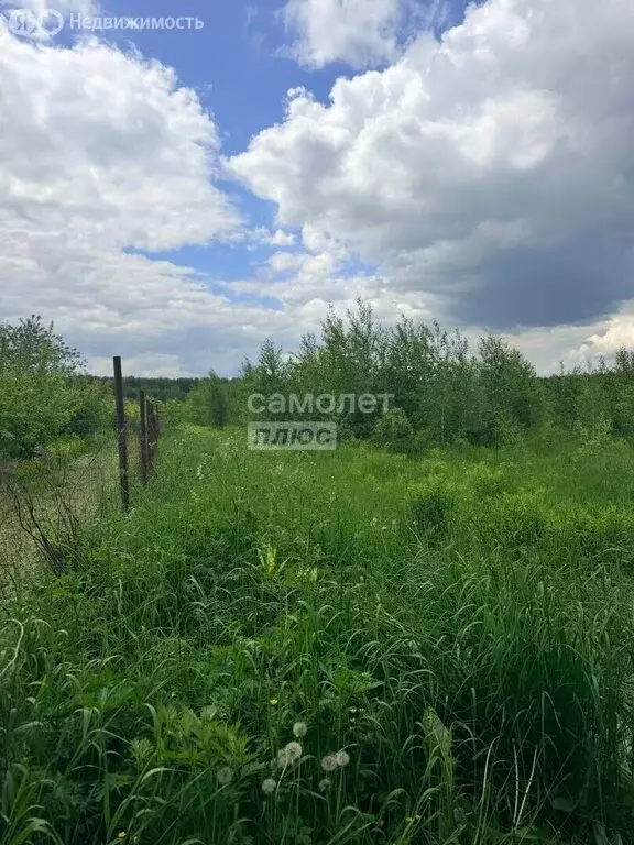 Участок в Московская область, Раменский муниципальный округ, село ... - Фото 2