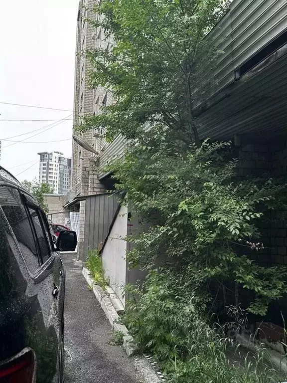 Помещение свободного назначения в Красноярский край, Красноярск просп. ... - Фото 1