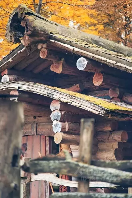 Дом в Московская область, Звенигород Одинцовский городской округ, ш. ... - Фото 1