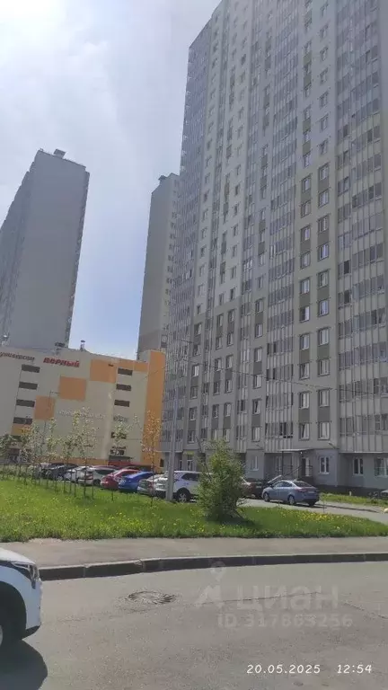 1-к кв. Санкт-Петербург дор. Муринская, 12к1 (29.3 м) - Фото 0