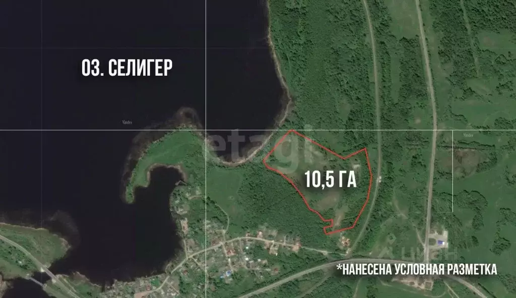 Участок в Тверская область, Осташков Нижние Рудины кв-л,  (1046.0 ... - Фото 1