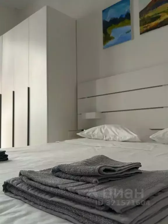 Студия Краснодарский край, Сочи Львовская ул., 52к5 (28.0 м) - Фото 1