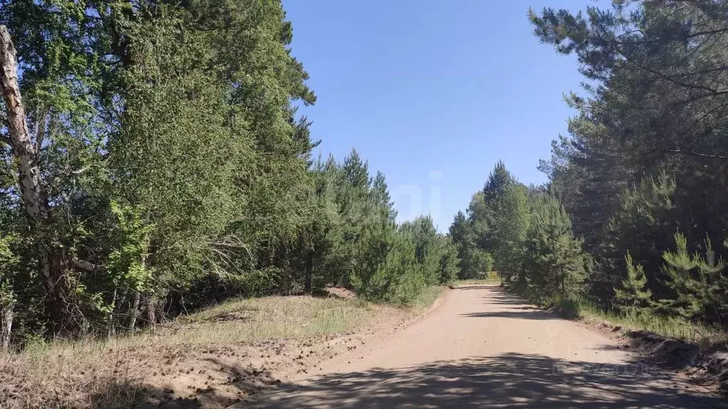 Дом в Курганская область, Кетовский муниципальный округ, Дружба ... - Фото 1