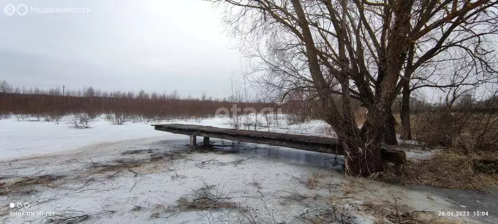 Участок в Почепский район, Гущинское сельское поселение, посёлок ... - Фото 0