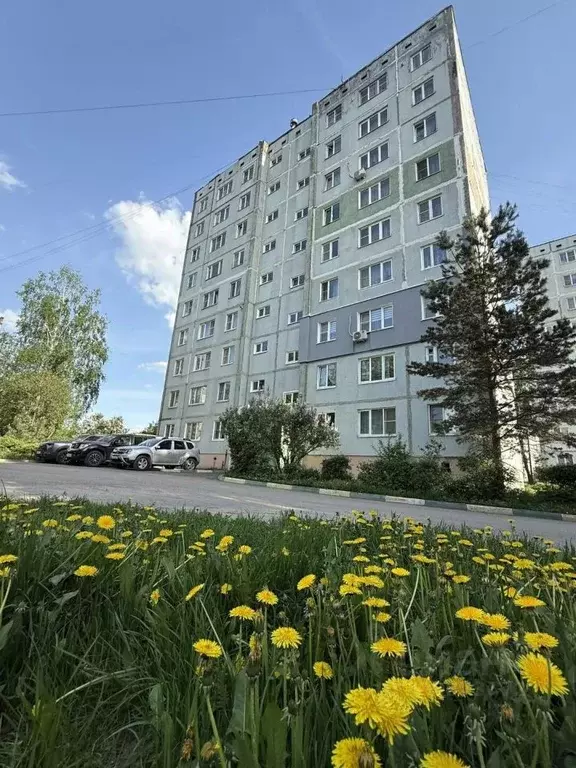 3-к кв. Тульская область, Новомосковск ул. Мира, 52А (66.2 м) - Фото 1