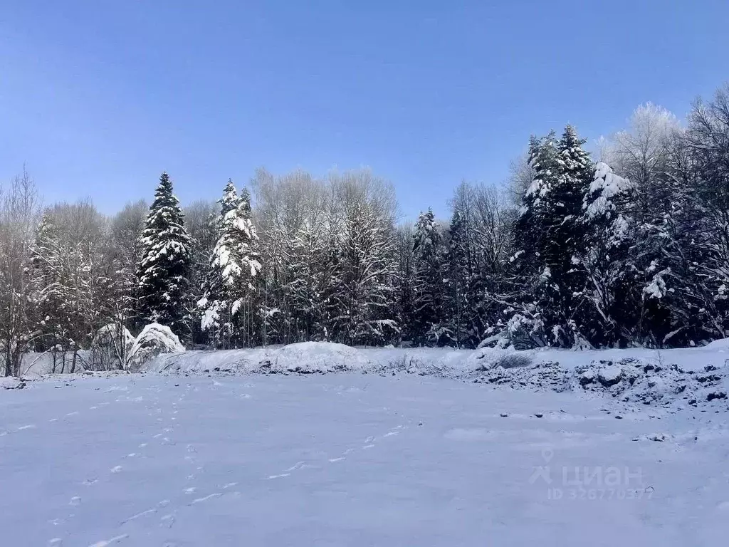 Участок в Московская область, Мытищи городской округ, д. Фелисово, ... - Фото 1