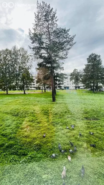 1-комнатная квартира: Железногорск, посёлок Первомайский, Малая ... - Фото 0