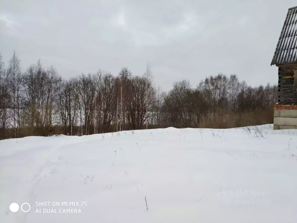 Участок в Псковская область, Невельский муниципальный округ, д. ... - Фото 1