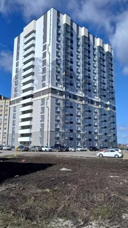 Студия Тамбовская область, Тамбов ул. Агапкина, 2К (30.0 м) - Фото 1