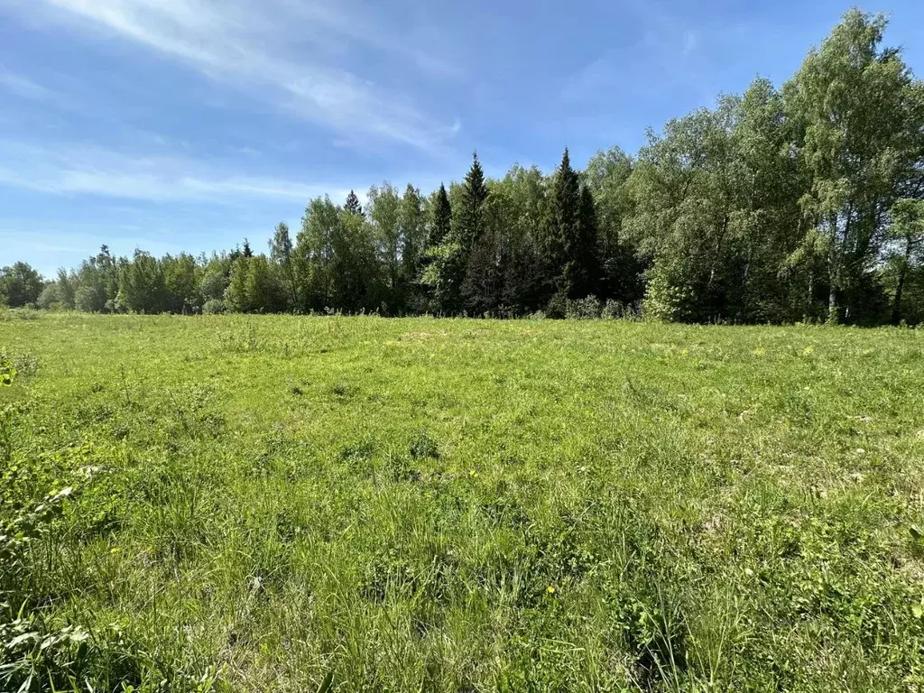 Участок в Московская область, Дмитровский городской округ, д. Морозово ... - Фото 1