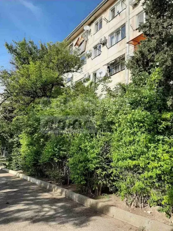 Комната Севастополь ул. Героев Подводников, 5 (16.0 м) - Фото 1