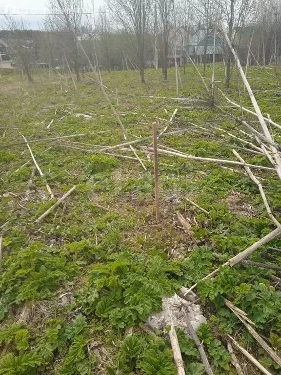 Участок в Выльгорт, Хвойная улица (9 м) - Фото 0