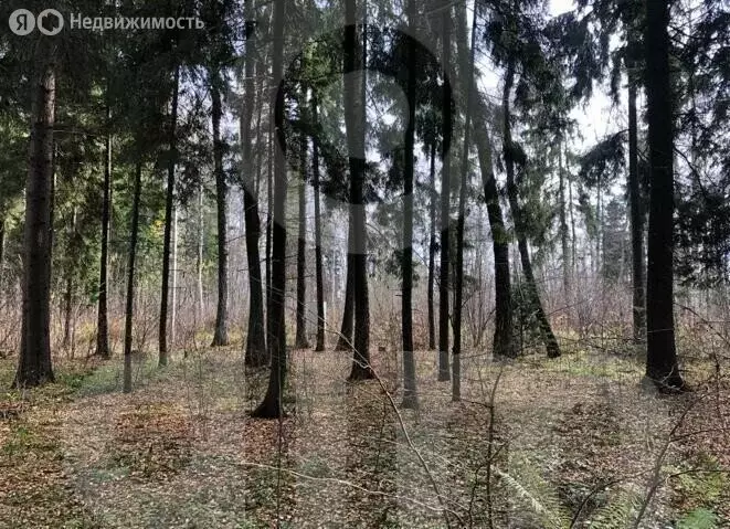 Участок в Московская область, городской округ Истра, территориальный ... - Фото 1