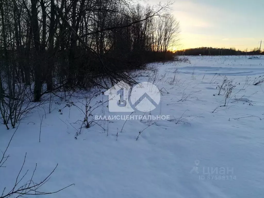 Участок в Новосибирская область, Кольцово рп ул. Кольцевая (6.7 сот.) - Фото 0