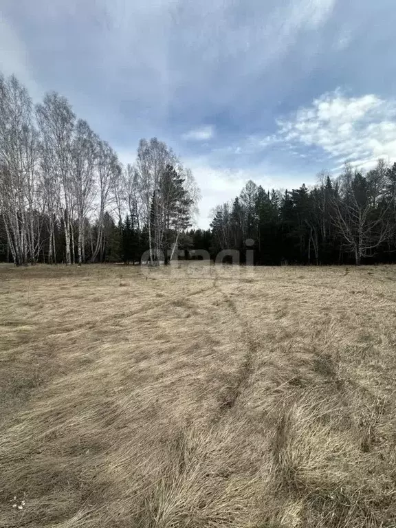 Участок в Красноярский край, Емельяново городское поселение, д. Сухая  ... - Фото 1