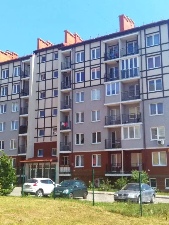 Студия Калининградская область, Светлогорск Яблоневая ул, 8 (24.0 м) - Фото 1