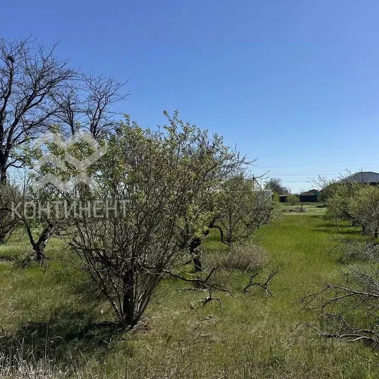 Участок в Крым, Сакский район, Лесновское с/пос, с. Владимировка ул. ... - Фото 1
