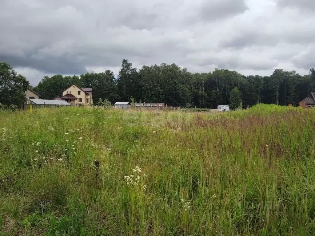 Участок в Калининградская область, Гурьевский муниципальный округ, ... - Фото 1