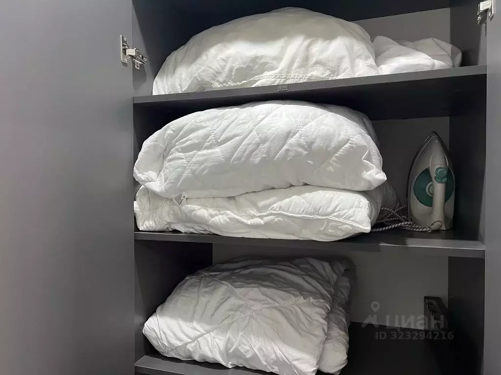 Студия Санкт-Петербург ул. Русановская, 24 (24.8 м) - Фото 1