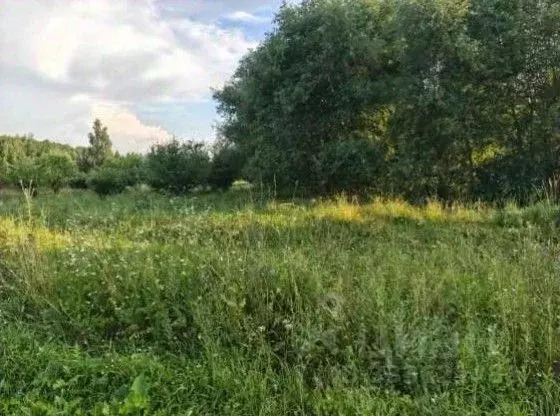Участок в Московская область, Коломна городской округ, с. Каменка  ... - Фото 1