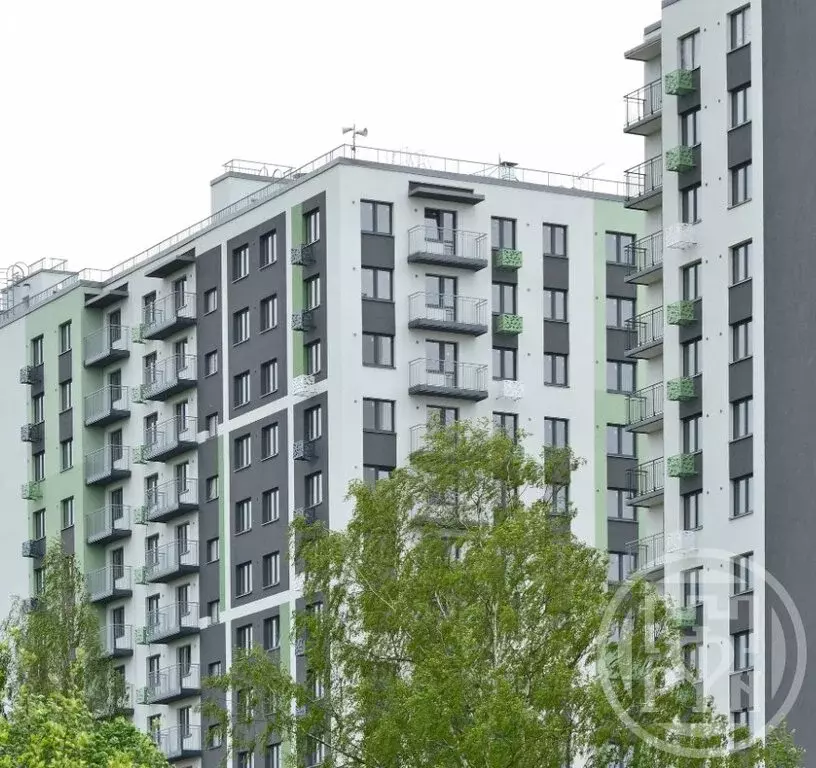 Квартира-студия: Ковалёво, улица Александра Разгонина, 1к2 (24.44 м) - Фото 1
