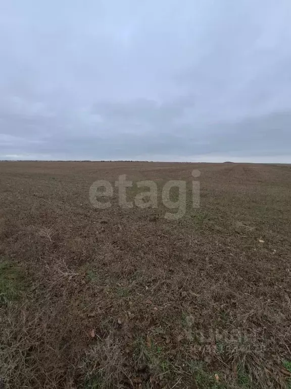 Участок в Крым, Сакский район, с. Штормовое ул. Ленина (6.0 сот.) - Фото 0