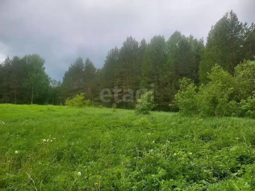 Участок в Кировская область, Киров городской округ, с. Бахта  (6.0 ... - Фото 1