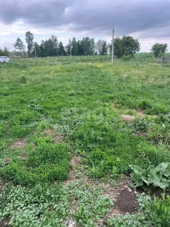 Участок в Татарстан, Тукаевский район, Нижнесуыксинское с/пос, с. ... - Фото 1