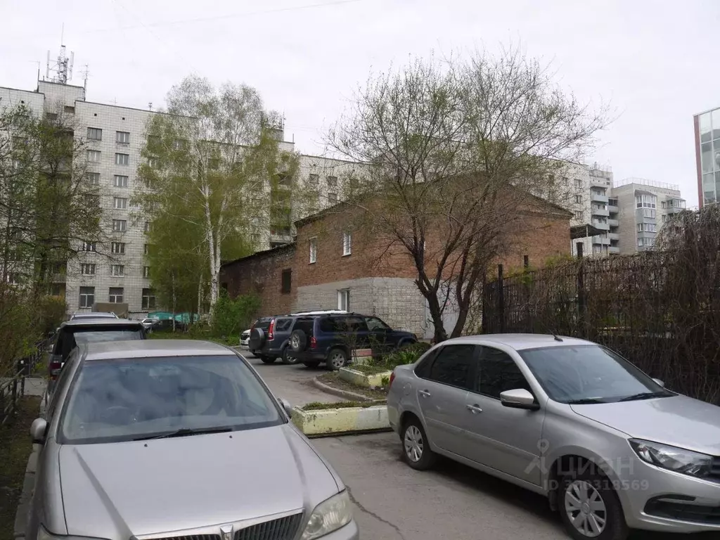 Помещение свободного назначения в Новосибирская область, Новосибирск ... - Фото 1