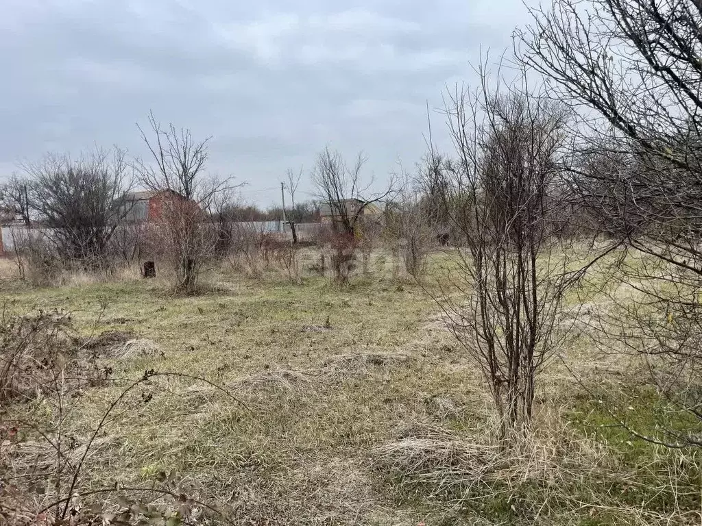 Участок в Краснодарский край, Ейское городское поселение, пос. ... - Фото 0