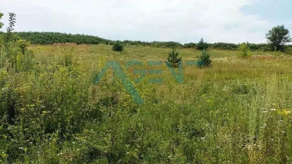 Участок в Белгородская область, Белгородский район, Никольское с/пос, ... - Фото 1