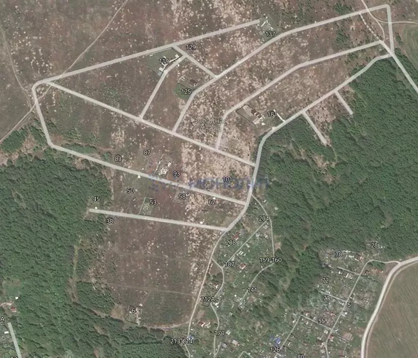 Участок в Нижегородская область, Богородский муниципальный округ, ... - Фото 2