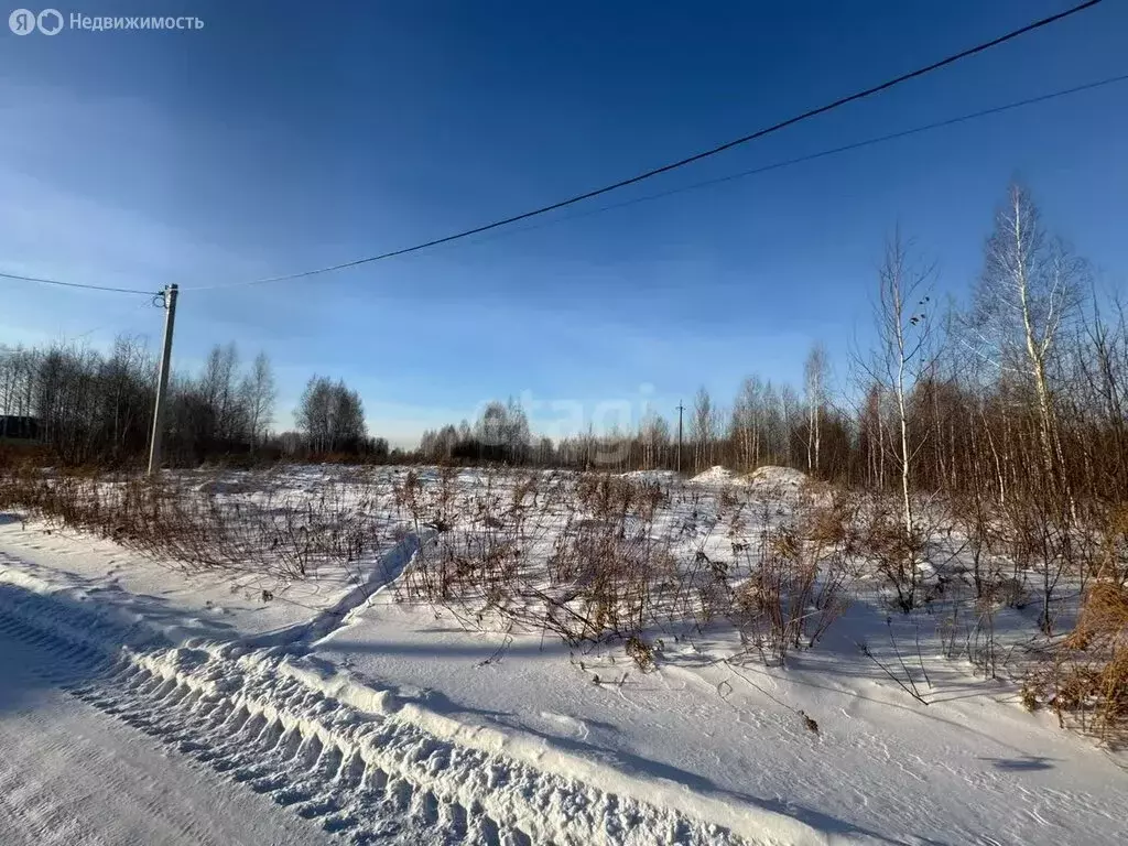 Участок в Новосибирский район, Барышевский сельсовет, посёлок Двуречье ... - Фото 1