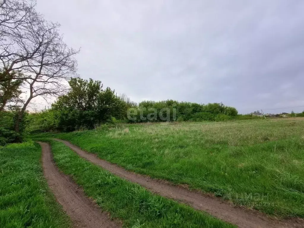 Участок в Белгородская область, Белгородский район, с. Стрелецкое ... - Фото 0