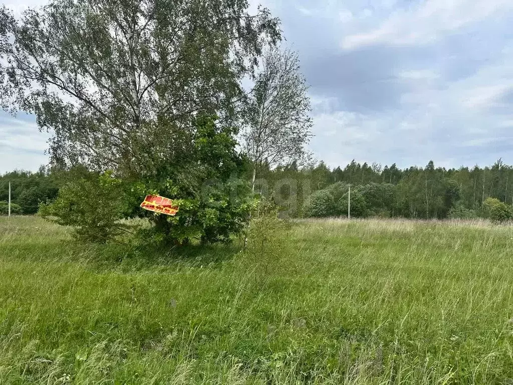 Участок в Петушинский район, муниципальное образование Пекшинское, ДНТ ... - Фото 0