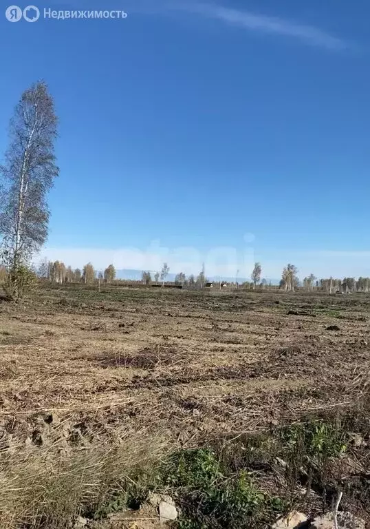 Участок в Тюменская область, Нижнетавдинский муниципальный округ, ... - Фото 2