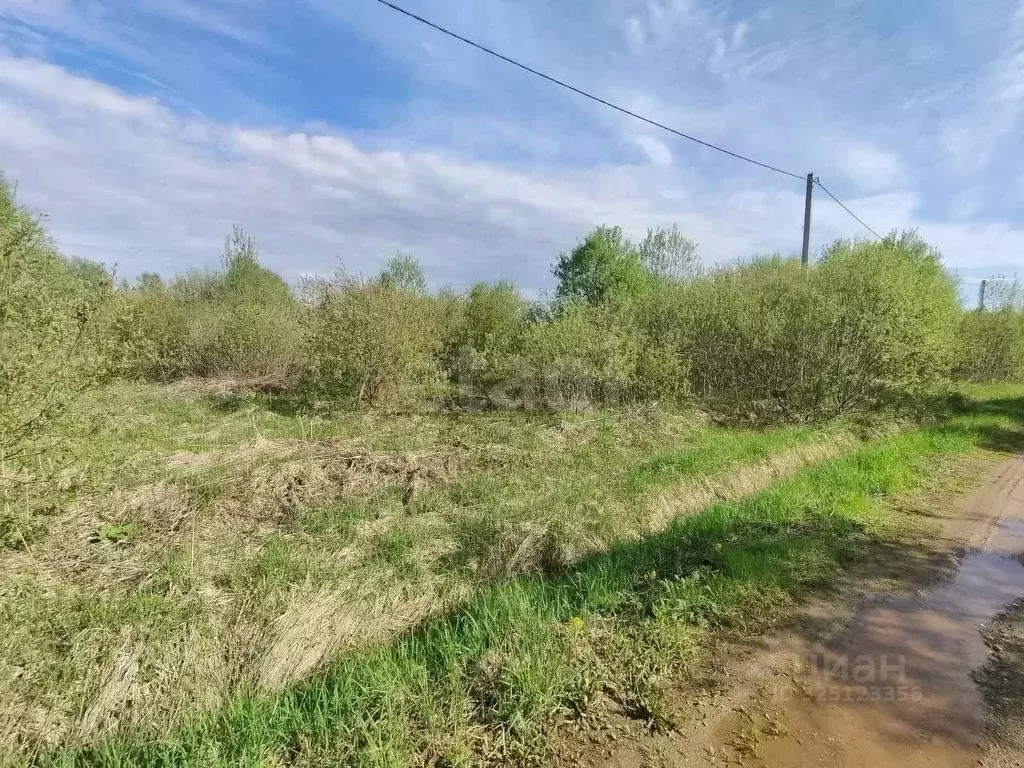 Участок в Московская область, Дмитровский муниципальный округ, д. ... - Фото 1