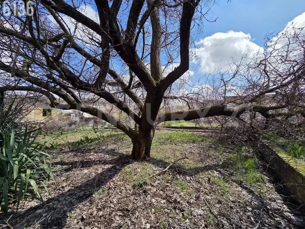 Участок в Севастополь Аленушка садоводческое товарищество,  (7.0 сот.) - Фото 2