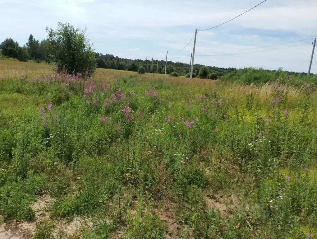 Участок в Московская область, Раменский муниципальный округ, Кратово ... - Фото 2