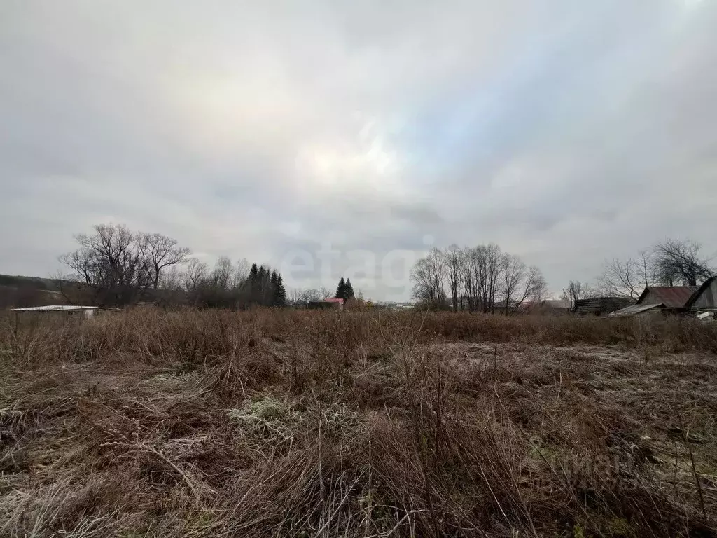 Участок в Башкортостан, Иглинский район, Калтымановский сельсовет, с. ... - Фото 2
