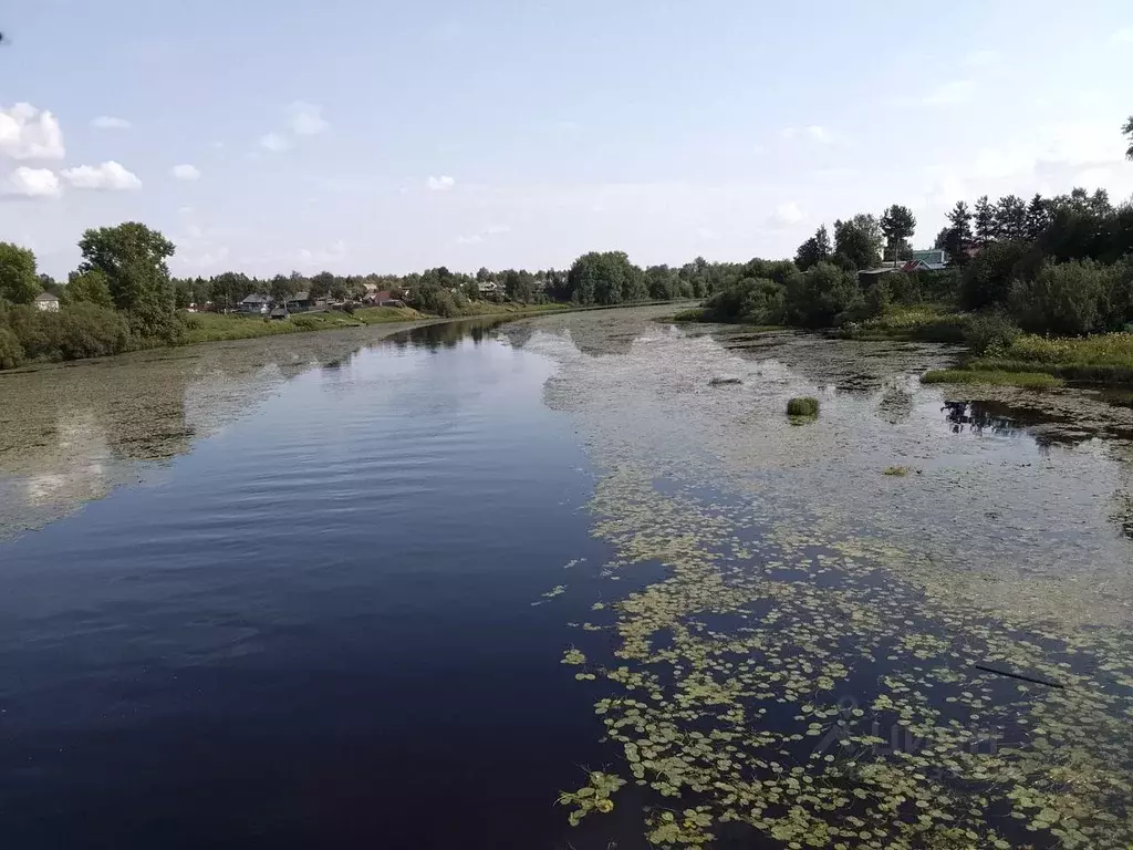 Участок в Архангельская область, Приморский муниципальный округ, Ильма ... - Фото 2
