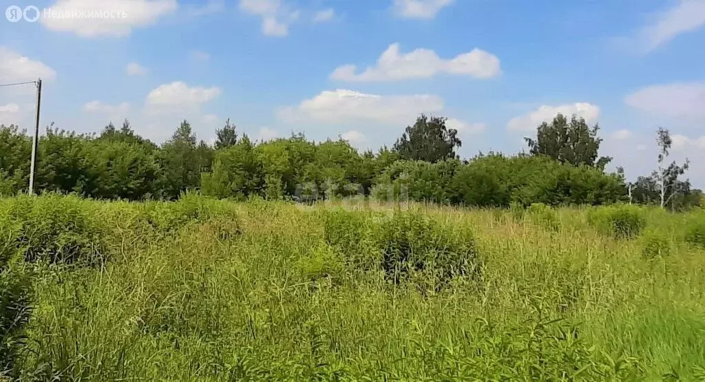 Участок в деревня Меркульево, Советская улица (28.5 м) - Фото 0