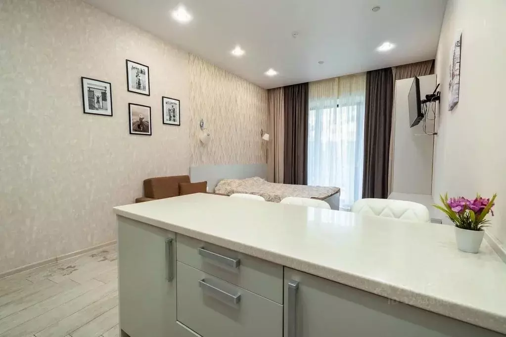 Студия Краснодарский край, Сочи Курортный просп., 105 (44.1 м) - Фото 2