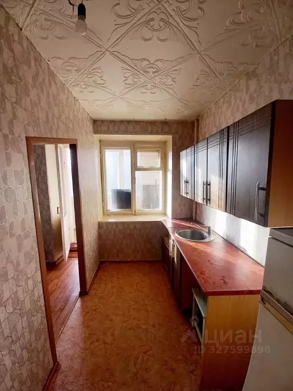 Студия Омская область, Омск ул. Куйбышева, 138а (24.0 м) - Фото 2