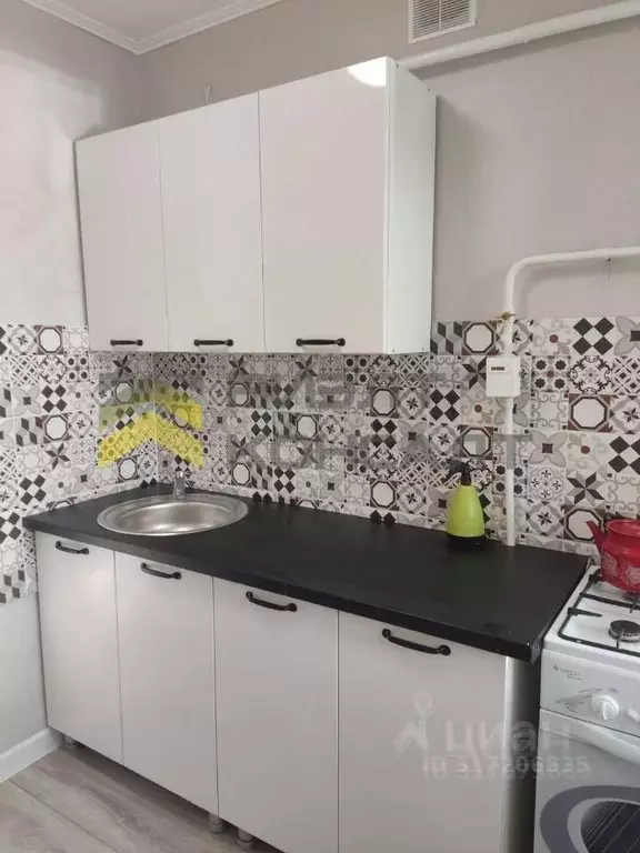 1-к кв. Омская область, Омск Заозерный мкр, ул. Бородина, 4/1 (30.0 м) - Фото 1